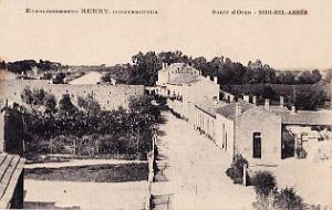 Sidi bel abbes 353